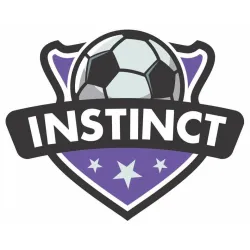 Instinct Sports Coaching